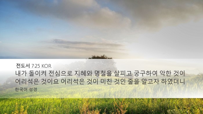 전도서 7:25 KOR Bible Verse Image