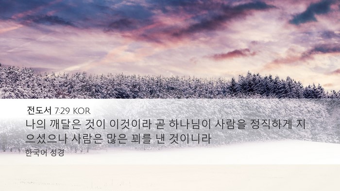 전도서 7:29 KOR Bible Verse Image