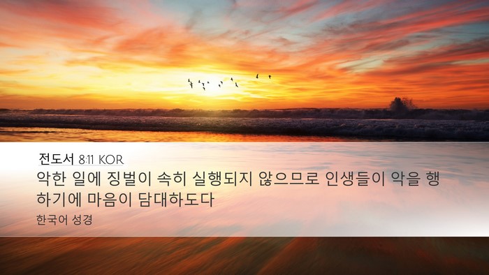 전도서 8:11 KOR Bible Verse Image