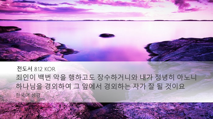 전도서 8:12 KOR Bible Verse Image