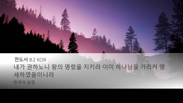 전도서 8:2 KOR Bible Verse Image