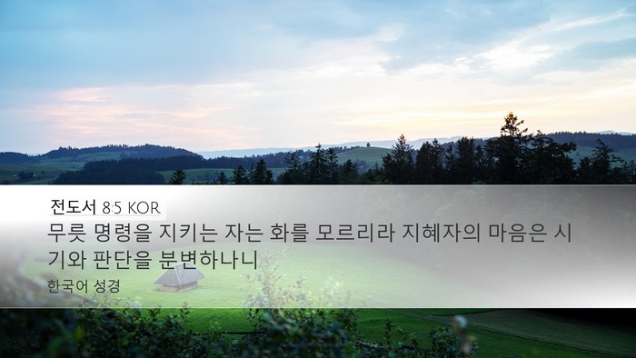 전도서 8:5 KOR Desktop Wallpaper - 무릇 명령을 지키는 자는 화를 - Desktop Bible Verse Wallpaper
