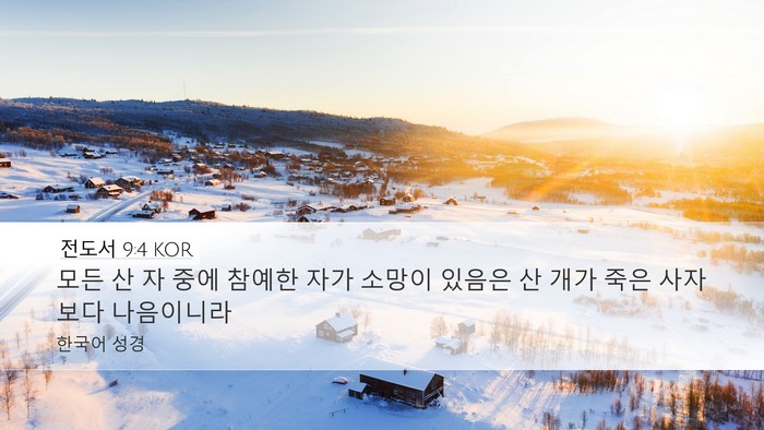 전도서 9:4 KOR Bible Verse Image