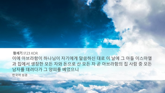 창세기 17:23 KOR Bible Verse Image