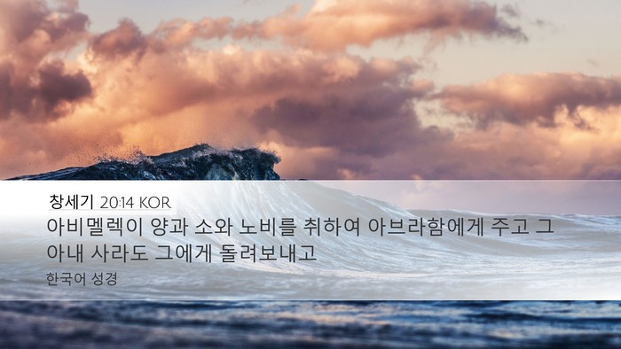 창세기 20:14 KOR Desktop Wallpaper - 아비멜렉이 양과 소와 노비를 취하여 - Desktop Bible Verse Wallpaper