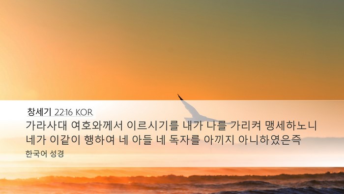 창세기 22:16 KOR Bible Verse Image