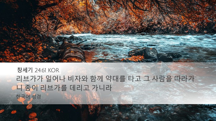 창세기 24:61 KOR Bible Verse Image