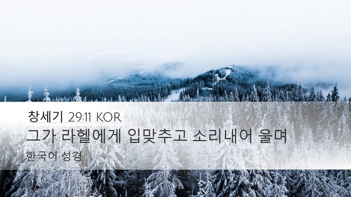 창세기 29:11 KOR Bible Verse Image