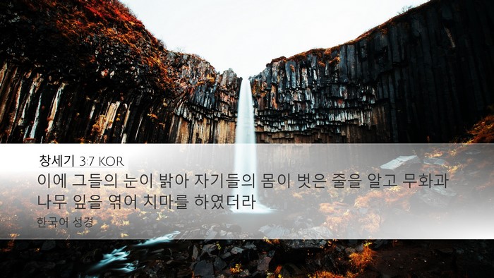 창세기 3:7 KOR Bible Verse Image
