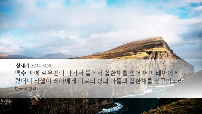 창세기 30:14 KOR Bible Verse Image