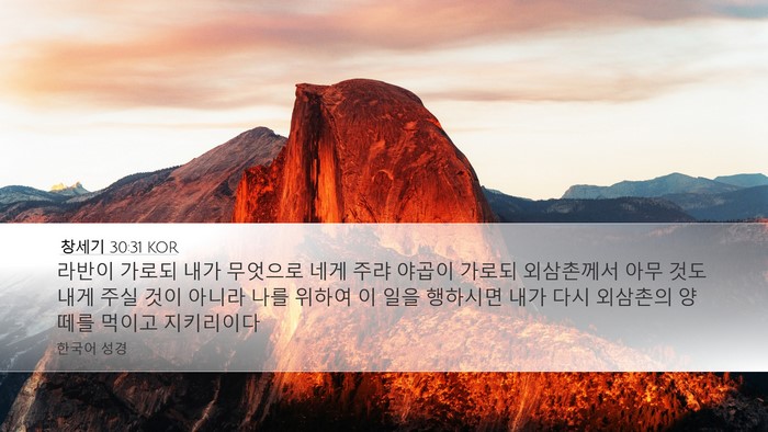 창세기 30:31 KOR Desktop Wallpaper - 라반이 가로되 내가 무엇으로 네게 - Desktop Bible Verse Wallpaper