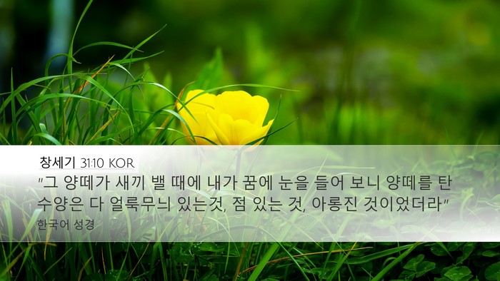 창세기 31:10 KOR Bible Verse Image