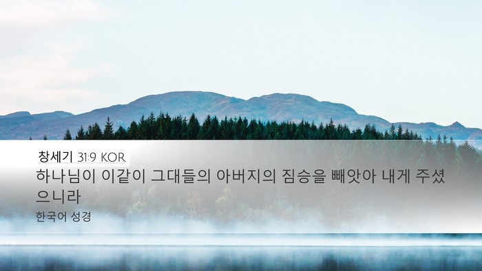 창세기 31:9 KOR Bible Verse Image