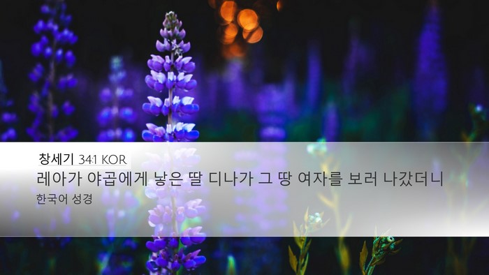 창세기 34:1 KOR Bible Verse Image