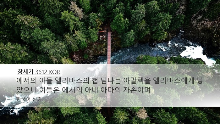 창세기 36:12 KOR Bible Verse Image