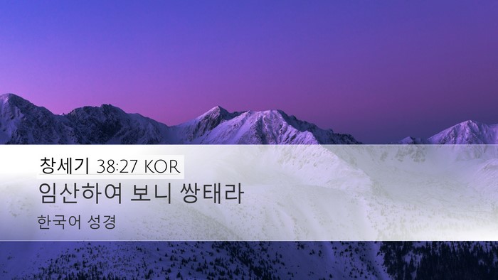 창세기 38:27 KOR Desktop Wallpaper - 임산하여 보니 - Desktop Bible Verse Wallpaper