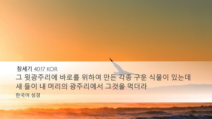 창세기 40:17 KOR Desktop Wallpaper - 그 윗광주리에 바로를 위하여 만든 - Desktop Bible Verse Wallpaper