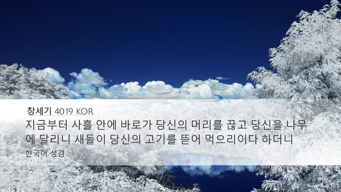 창세기 40:19 KOR Bible Verse Image