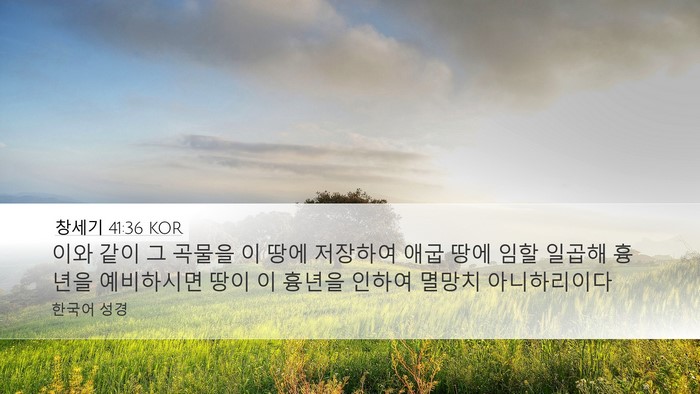 창세기 41:36 KOR Desktop Wallpaper - 이와 같이 그 곡물을 이 땅에 - Desktop Bible Verse Wallpaper