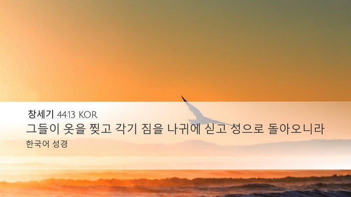 창세기 44:13 KOR Bible Verse Image