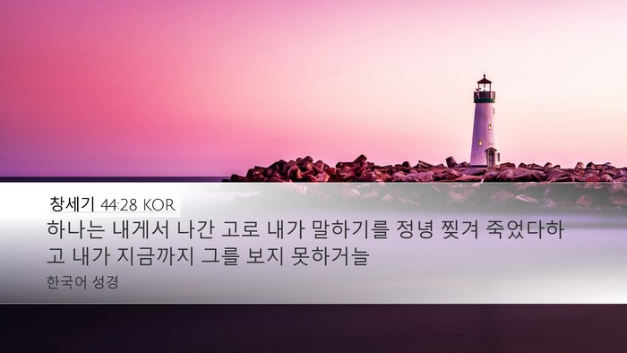 창세기 44:28 KOR Bible Verse Image