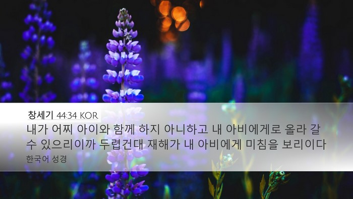 창세기 44:34 KOR Bible Verse Image