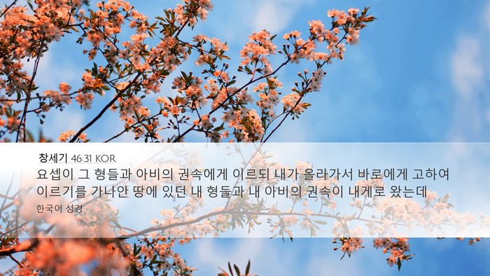 창세기 46:31 KOR Bible Verse Image