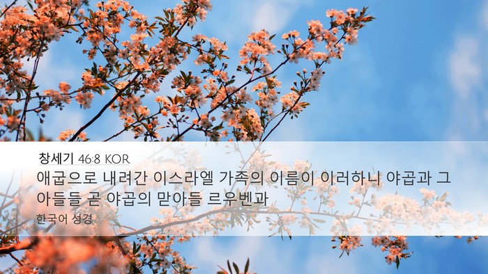 창세기 46:8 KOR Bible Verse Image