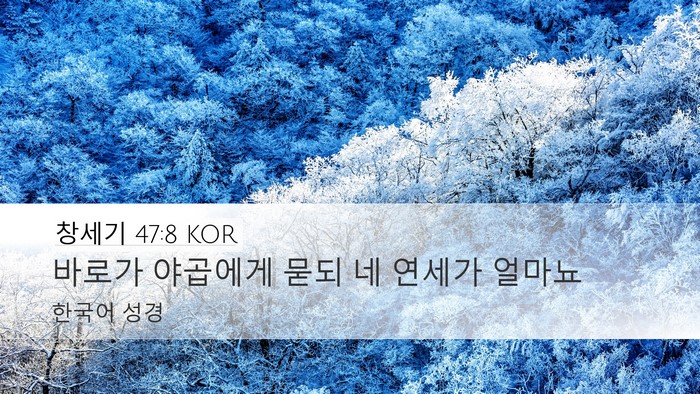 창세기 47:8 KOR Bible Verse Image