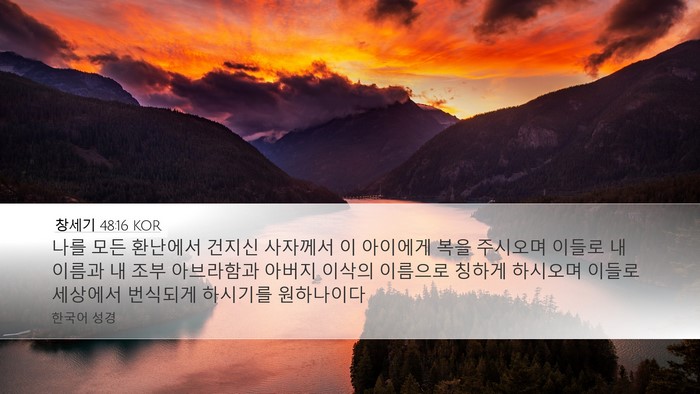창세기 48:16 KOR Bible Verse Image