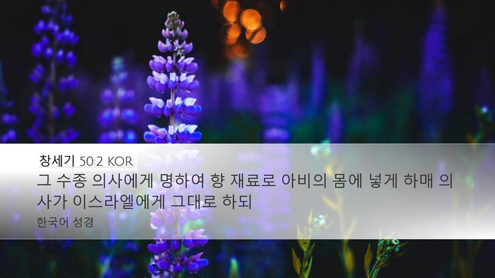 창세기 50:2 KOR Bible Verse Image