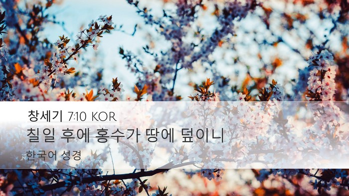 창세기 7:10 KOR Desktop Wallpaper - 칠일 후에 홍수가 땅에 - Desktop Bible Verse Wallpaper