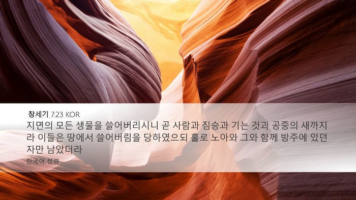 창세기 7:23 KOR Desktop Wallpaper - 지면의 모든 생물을 쓸어버리시니 곧 - Desktop Bible Verse Wallpaper
