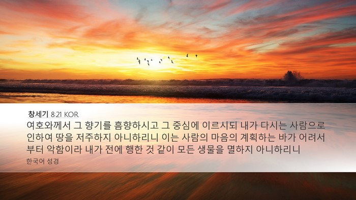창세기 8:21 KOR Bible Verse Image