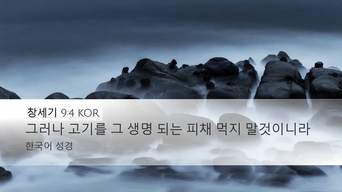 창세기 9:4 KOR Bible Verse Image
