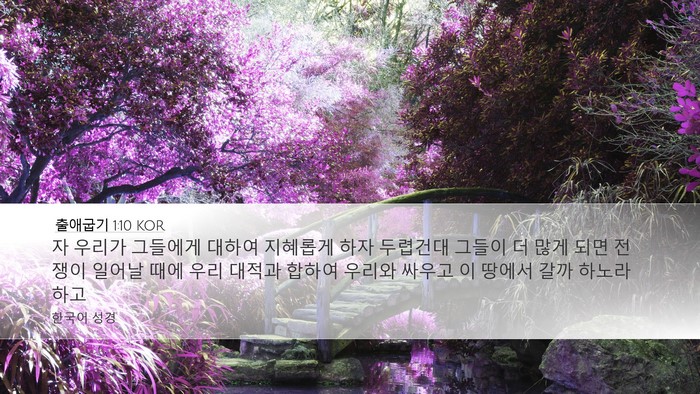 출애굽기 1:10 KOR Bible Verse Image