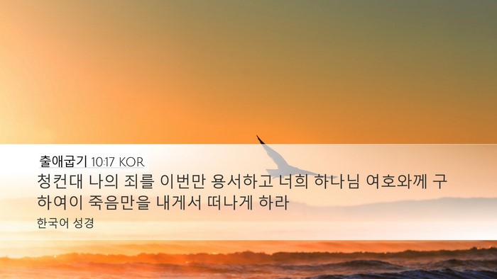 출애굽기 10:17 KOR Bible Verse Image