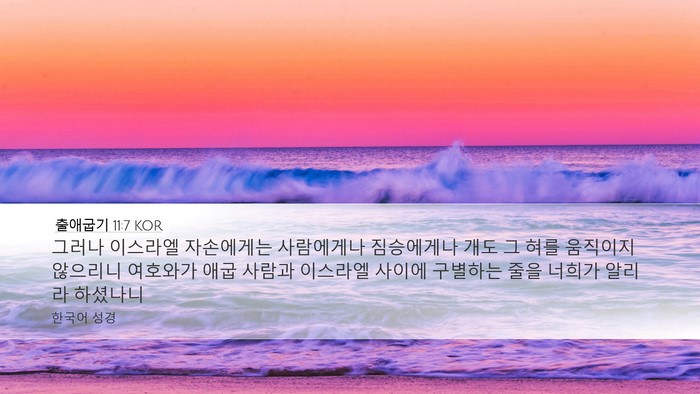 출애굽기 11:7 KOR Bible Verse Image