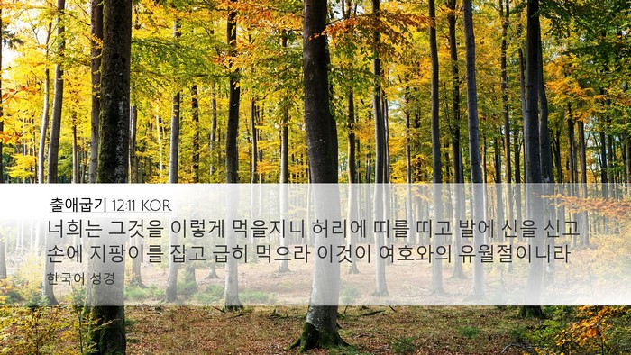 출애굽기 12:11 KOR Desktop Wallpaper - 너희는 그것을 이렇게 먹을지니 - Desktop Bible Verse Wallpaper