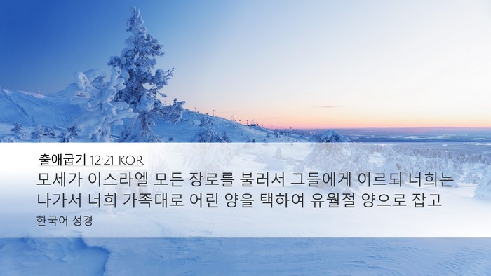 출애굽기 12:21 KOR Bible Verse Image