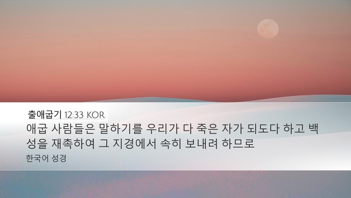 출애굽기 12:33 KOR Bible Verse Image