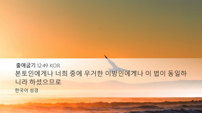 출애굽기 12:49 KOR Bible Verse Image
