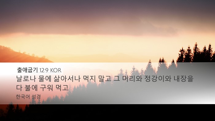 출애굽기 12:9 KOR Desktop Wallpaper - 날로나 물에 삶아서나 먹지 말고 그 - Desktop Bible Verse Wallpaper