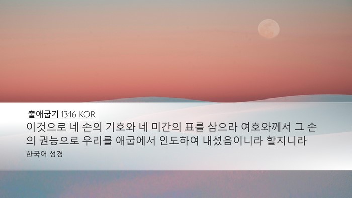 출애굽기 13:16 KOR Bible Verse Image