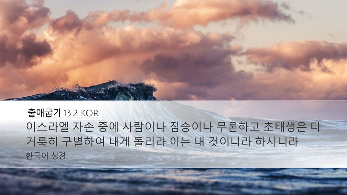 출애굽기 13:2 KOR Bible Verse Image