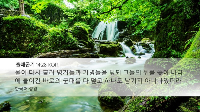 출애굽기 14:28 KOR Bible Verse Image