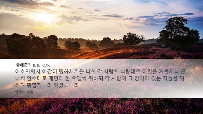 출애굽기 16:16 KOR Desktop Wallpaper - 여호와께서 이같이 명하시기를 너희 - Desktop Bible Verse Wallpaper