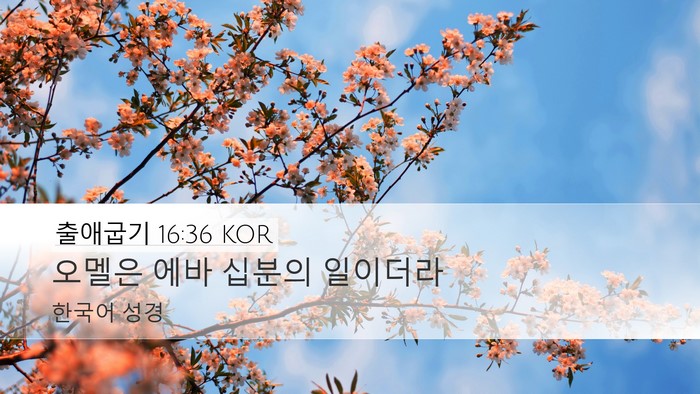 출애굽기 16:36 KOR Bible Verse Image