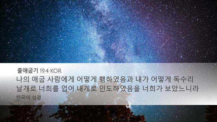 출애굽기 19:4 KOR Bible Verse Image