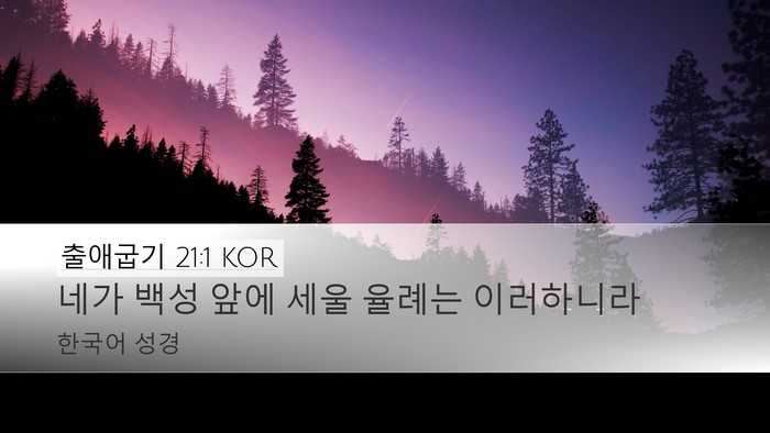 출애굽기 21:1 KOR Bible Verse Image